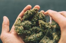 Learn the benefits of using cbd flower